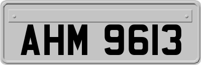 AHM9613