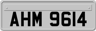 AHM9614