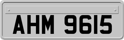 AHM9615