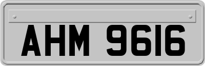AHM9616