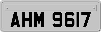 AHM9617