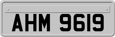 AHM9619