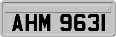 AHM9631