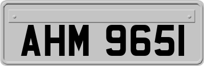 AHM9651