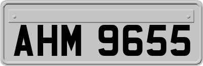 AHM9655
