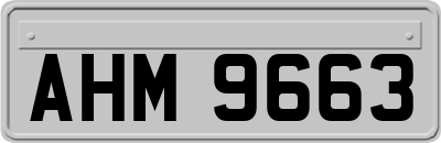 AHM9663