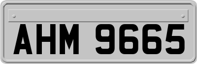 AHM9665