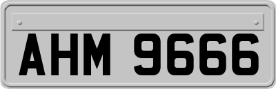 AHM9666
