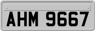 AHM9667
