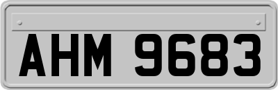 AHM9683