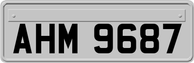 AHM9687