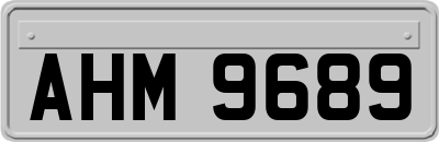AHM9689