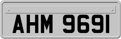 AHM9691