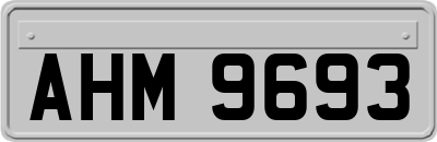 AHM9693
