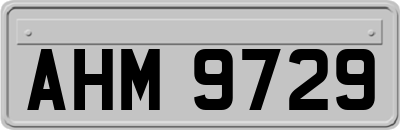 AHM9729