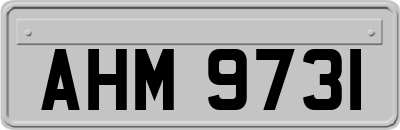 AHM9731