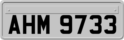 AHM9733
