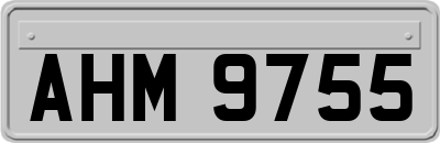 AHM9755