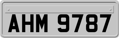AHM9787