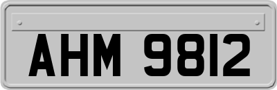 AHM9812