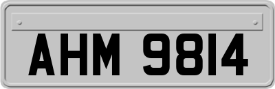 AHM9814
