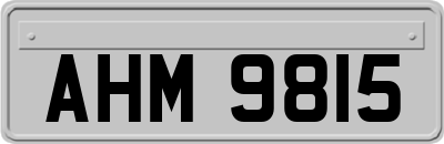 AHM9815