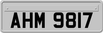 AHM9817