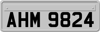AHM9824