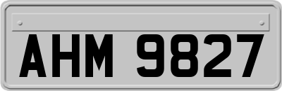 AHM9827