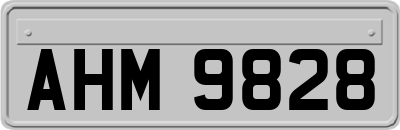 AHM9828