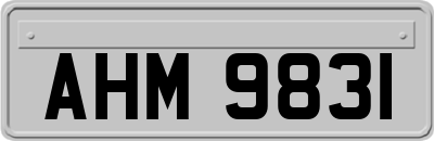 AHM9831