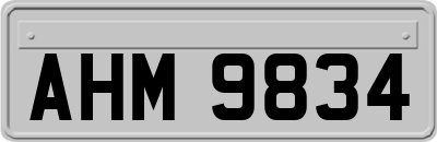 AHM9834
