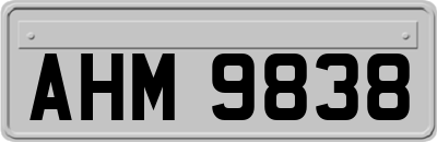 AHM9838