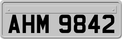 AHM9842