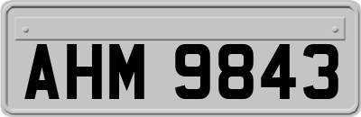 AHM9843