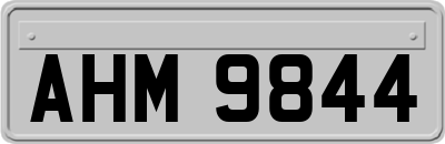 AHM9844