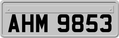 AHM9853