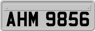 AHM9856