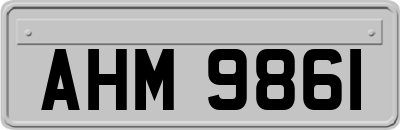 AHM9861