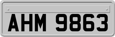 AHM9863