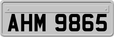 AHM9865