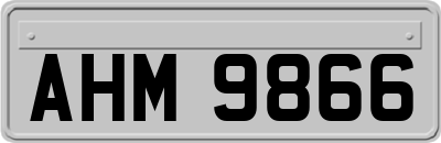AHM9866