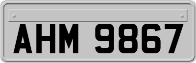 AHM9867