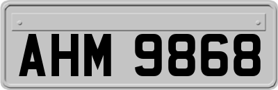 AHM9868