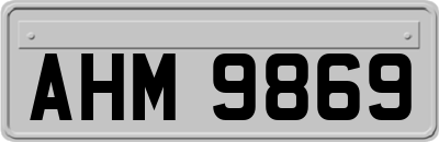 AHM9869