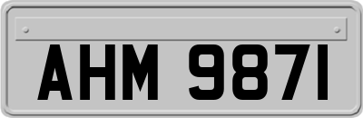 AHM9871