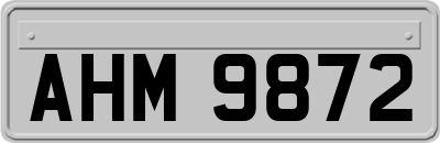 AHM9872