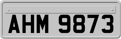 AHM9873