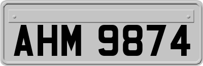 AHM9874