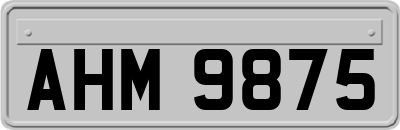 AHM9875